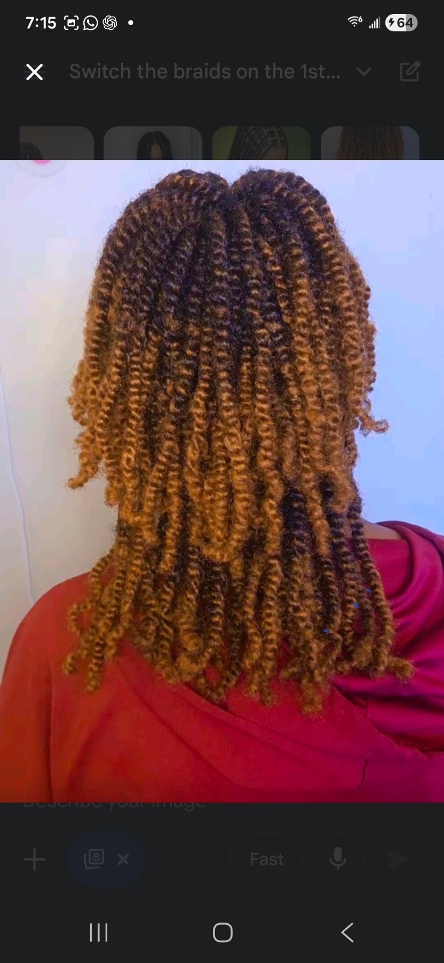 Braid style 5