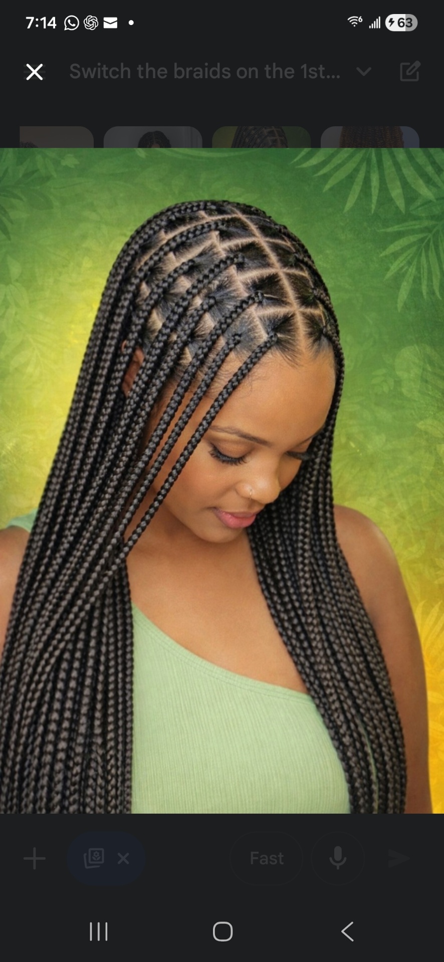 Braid style 8